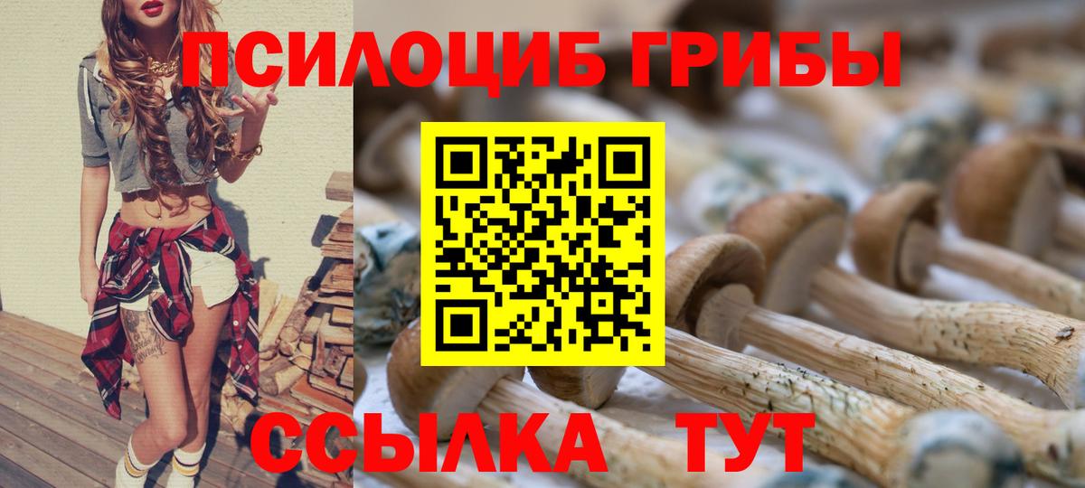 Галлюциногенные грибы мухоморы Тихвин