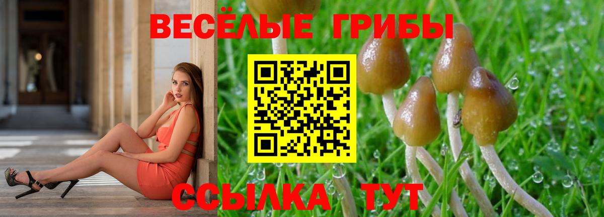 Псилоцибиновые грибы Cubensis  Вход с VPN  Тихвин  Псилоцибиновые грибы Magic Shrooms 